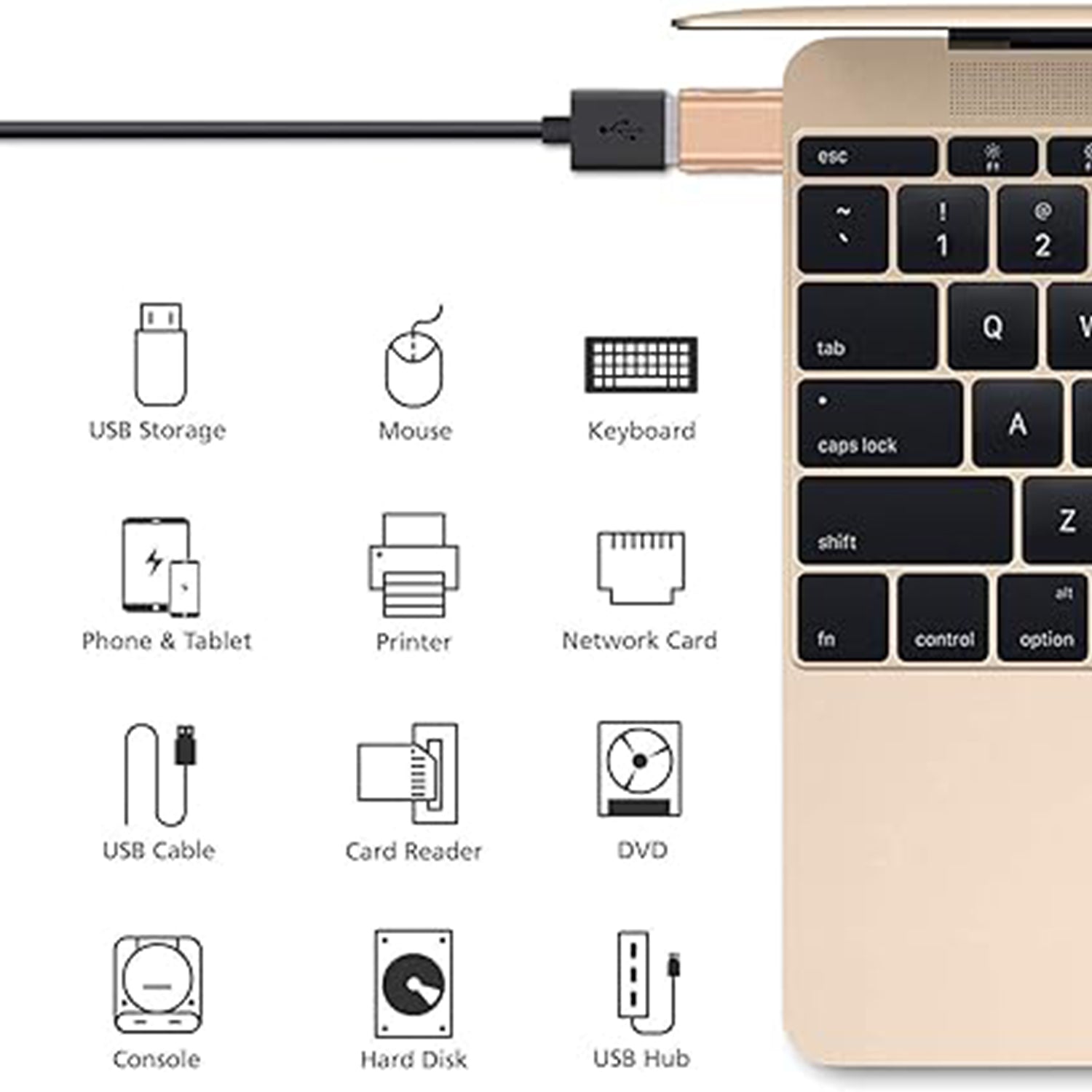 USB-C to USB 3.0 Adapter