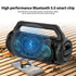 Wireless card insertion portable Double horn Bluetooth speaker-Black