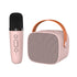 Hand Carry Bluetooth karaoke Sound With Microphone Set,All in One