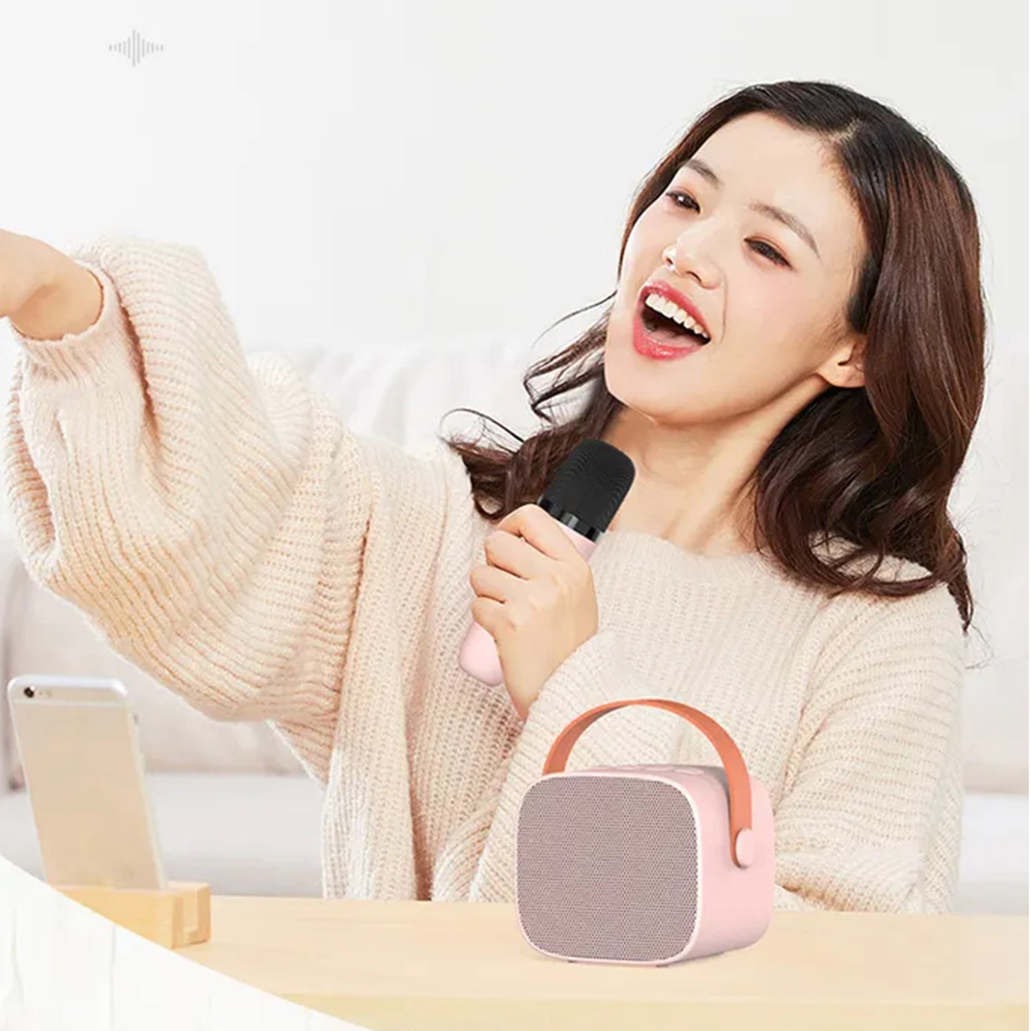 Hand Carry Bluetooth karaoke Sound With Microphone Set,All in One