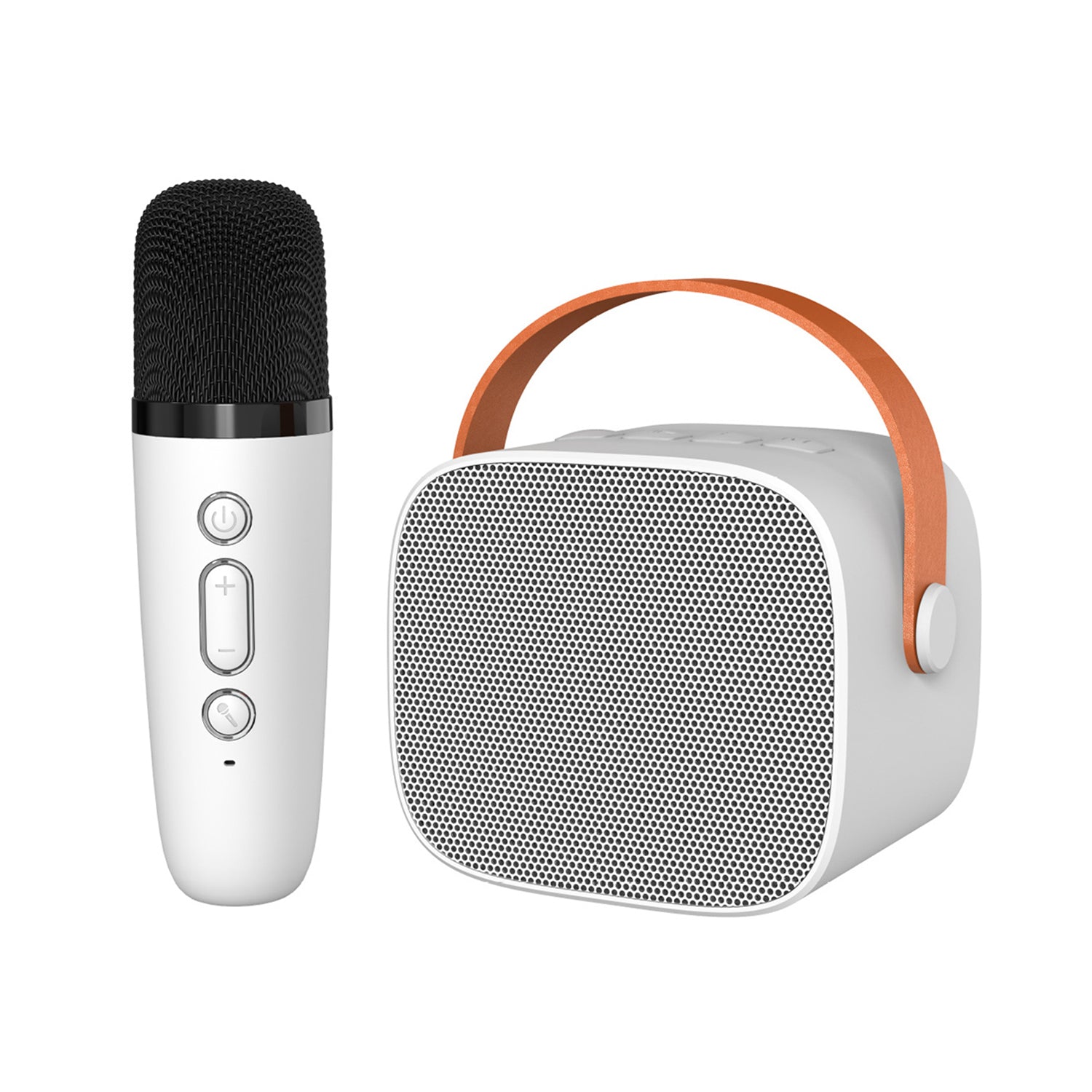 Hand Carry Bluetooth karaoke Sound With Microphone Set,All in One