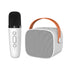 Hand Carry Bluetooth karaoke Sound With Microphone Set,All in One