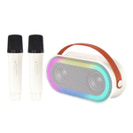 Wireless Bluetooth Colorful Light Outdoor Sound Dual Microphone Set