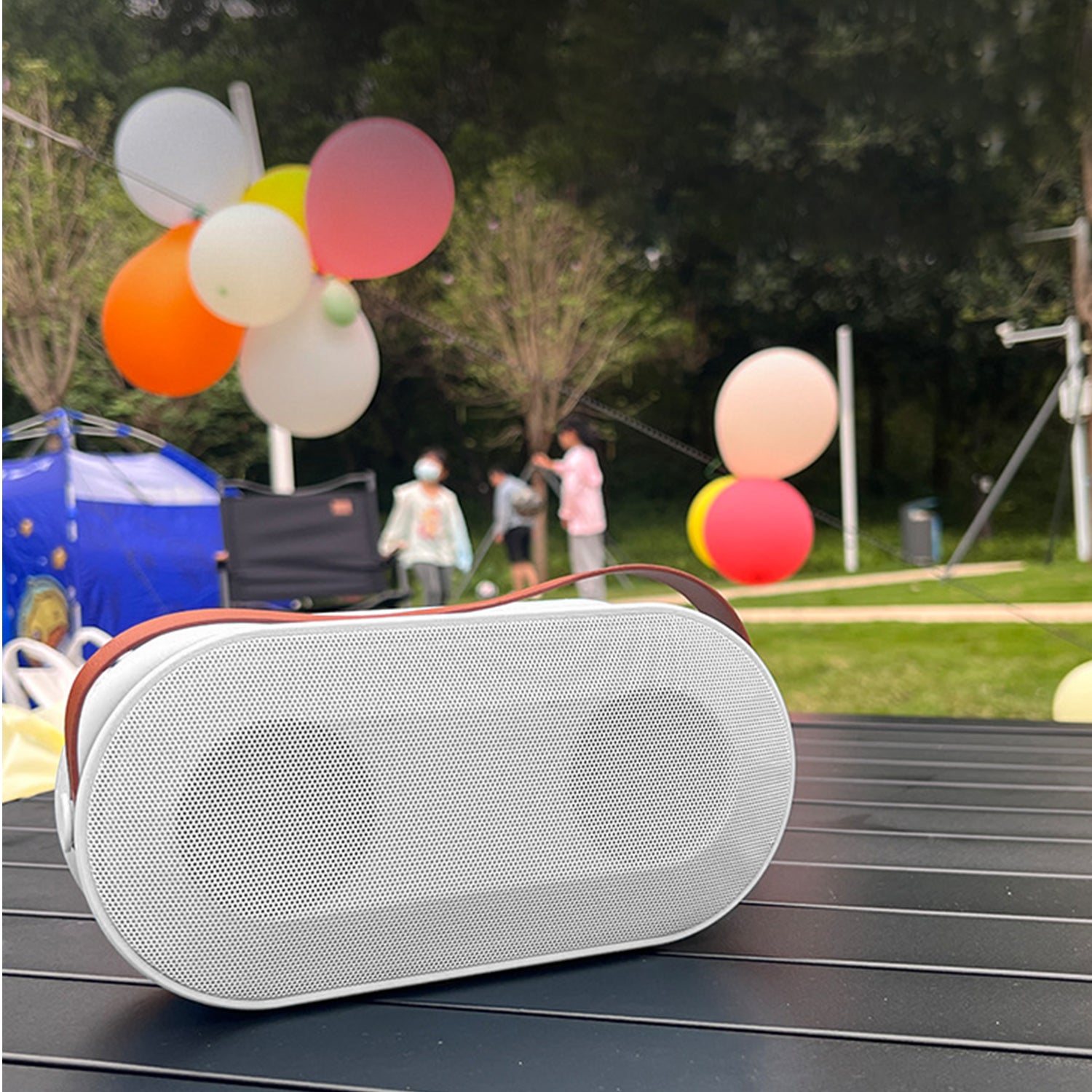 Wireless Bluetooth Colorful Light Outdoor Sound Dual Microphone Set