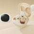 Tws Wireless Bluetooth IPx5 Waterproof macaron Mini Earphones