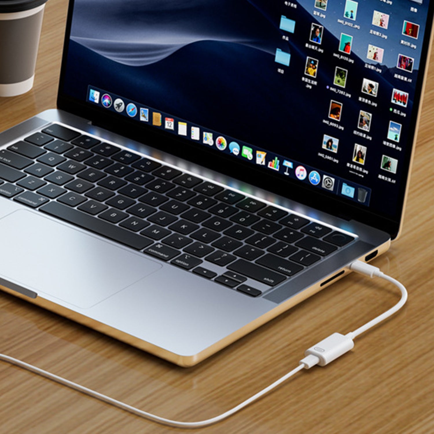 USB-C to Lightning Cable Cord Adapter-White