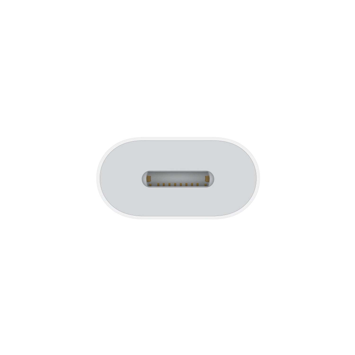 USB-C to Lightning Cable Cord Adapter-White