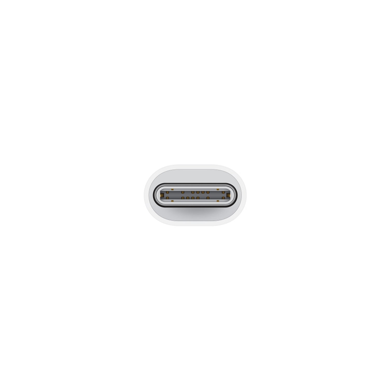 USB-C to Lightning Cable Cord Adapter-White