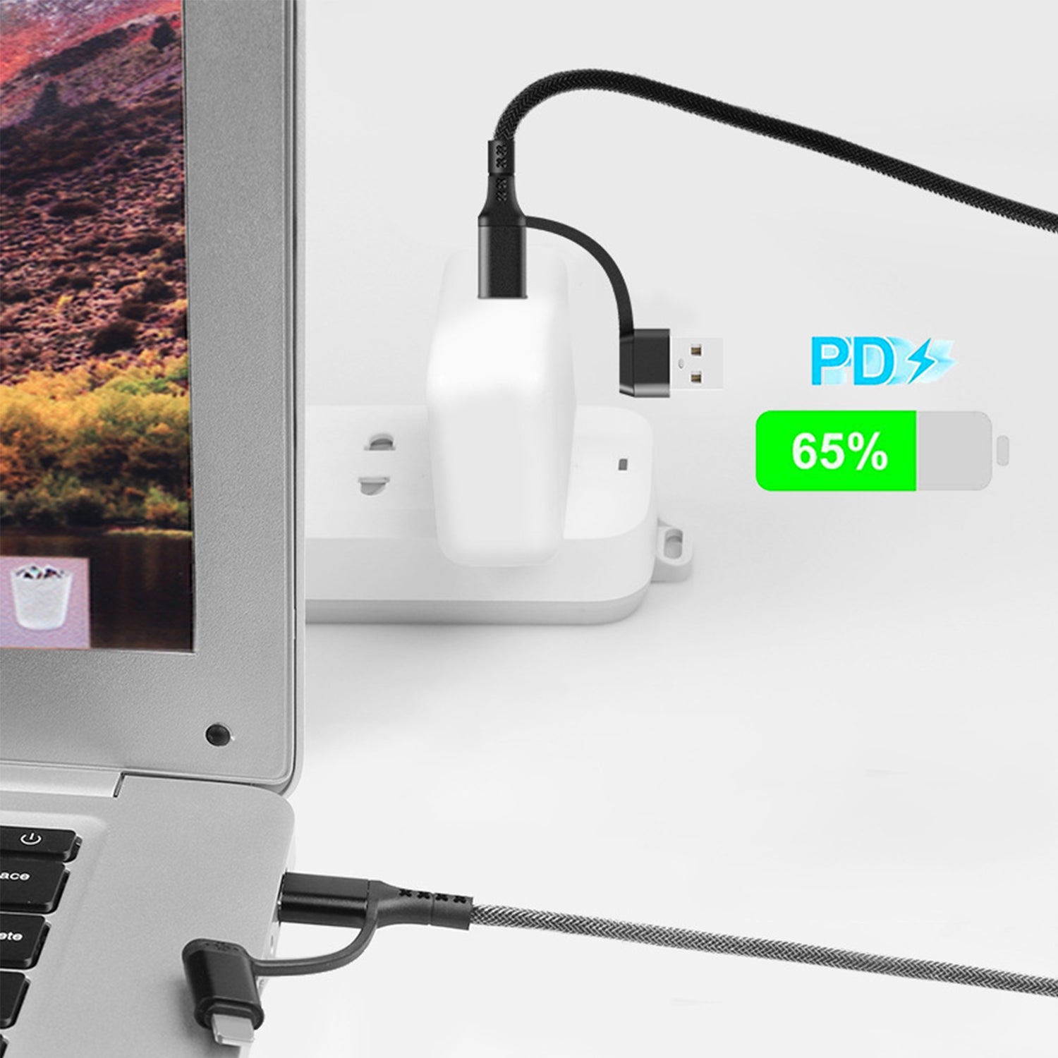 4 in 1 (Type-C/USB) to (Type-C/ Lightning) 65W fast charging cable-Black
