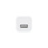 50 PCS Home Adapter for iPhone  11/11 Pro /11 Pro Max/ Xs Max/ X / XS/ 8 / 7