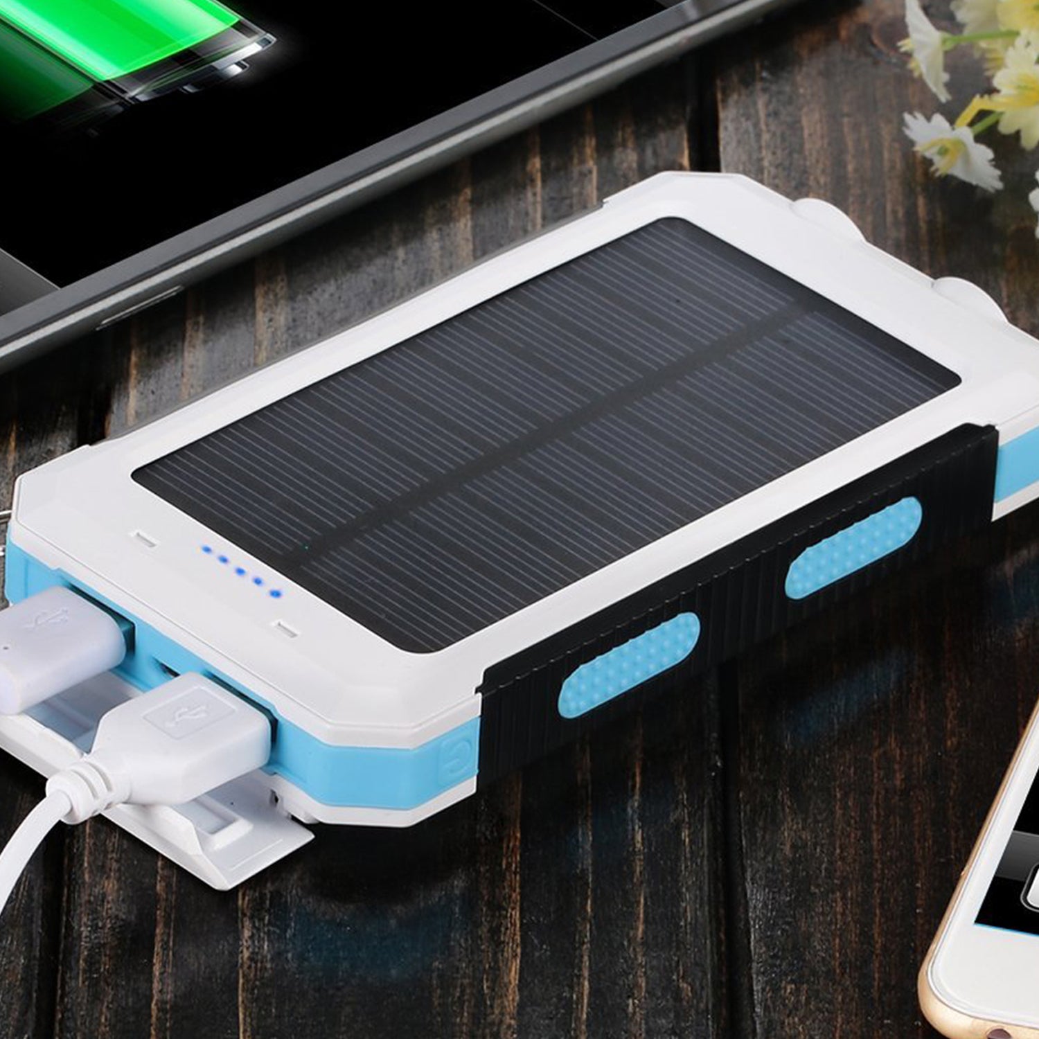 10000 mAh Portable Solar Panel Power Bank