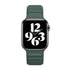 42/44/45/49mm Color magnetic soft silicone strap,Esuitable for Apple Watch Series 9/SE/8/7/6/5/4/3/2/1