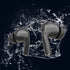Fingerprint switch noise reduction headset