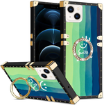 iPhone 13 TPU luxury fashion case with kickstand case